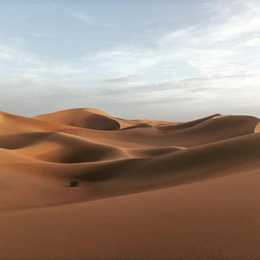Chegaga Desert Trips Camp محاميد الغزلان المظهر الخارجي الصورة