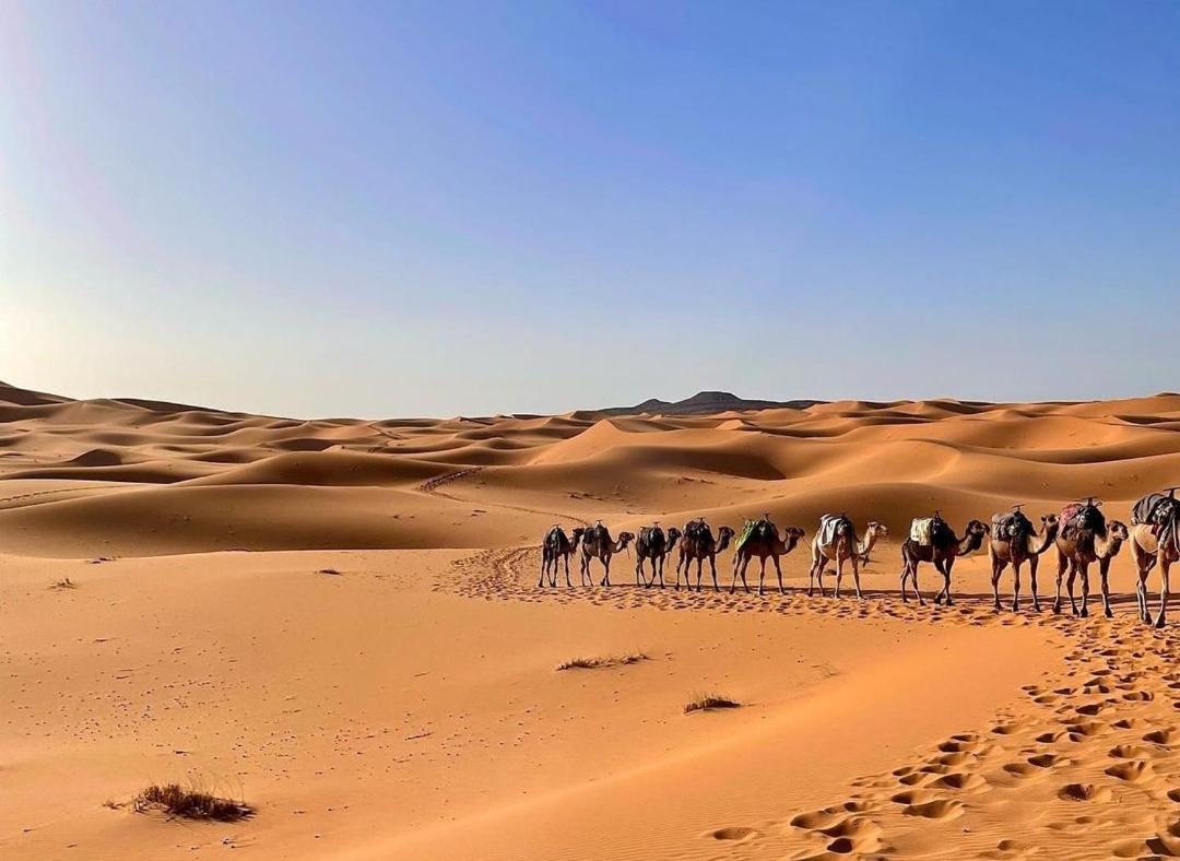 Chegaga Desert Trips Camp محاميد الغزلان المظهر الخارجي الصورة